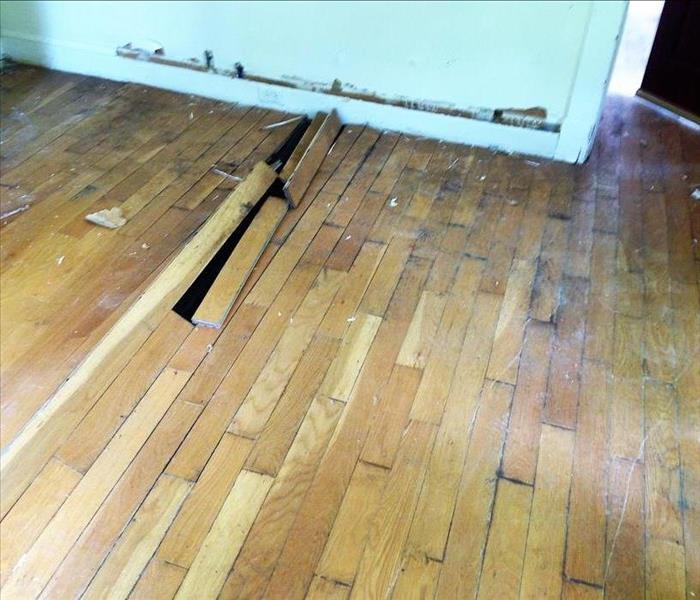 Damaged wood floor with pieces warped and popping up