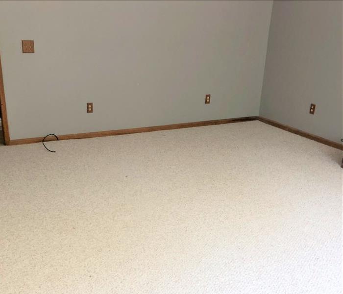 living room with freshly painted walls and new carpeting