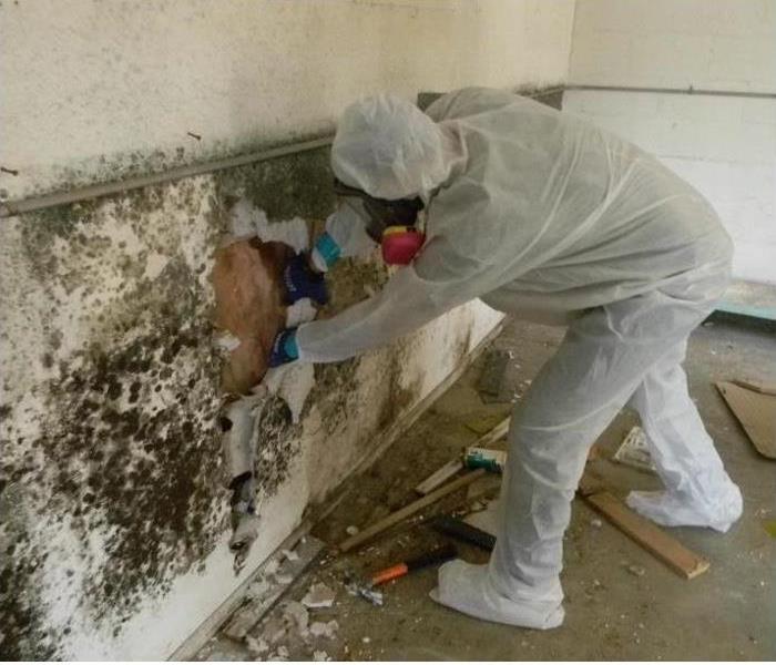 Man in protective gear working in a room with mold